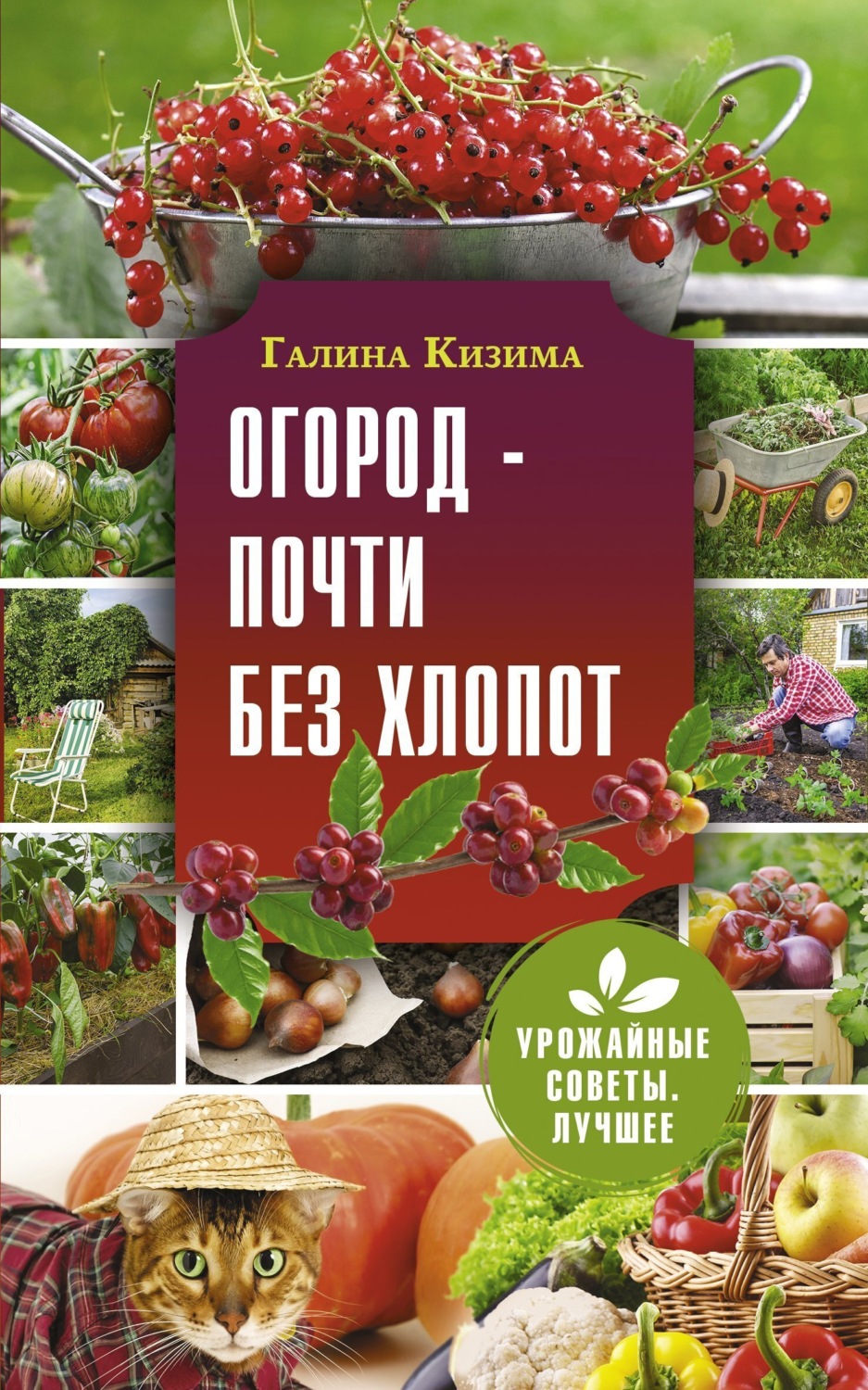 Обложка книги «Огород – почти без хлопот»