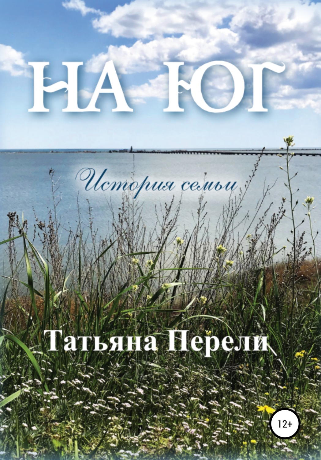 Обложка книги «На юг. История семьи»