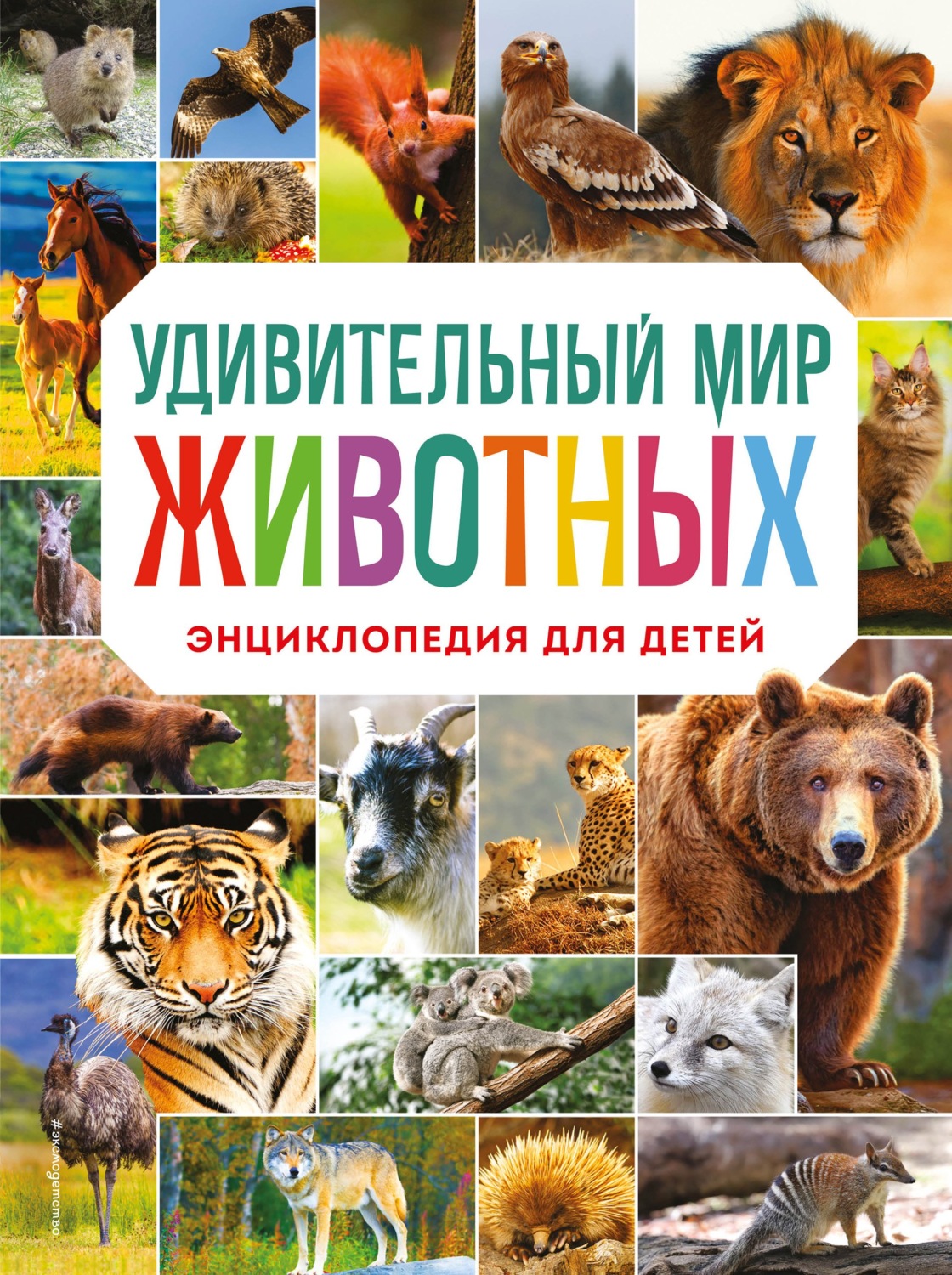 Обложка книги «Удивительный мир животных. Энциклопедия для детей»