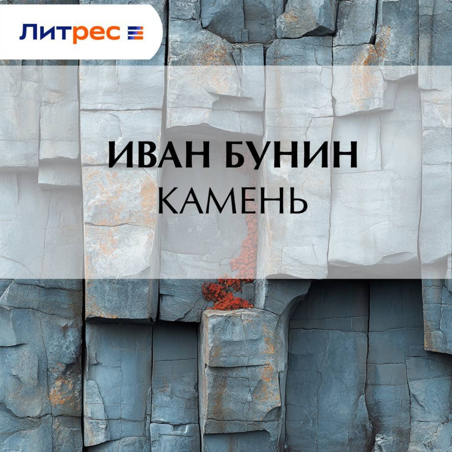 Обложка книги «Камень»