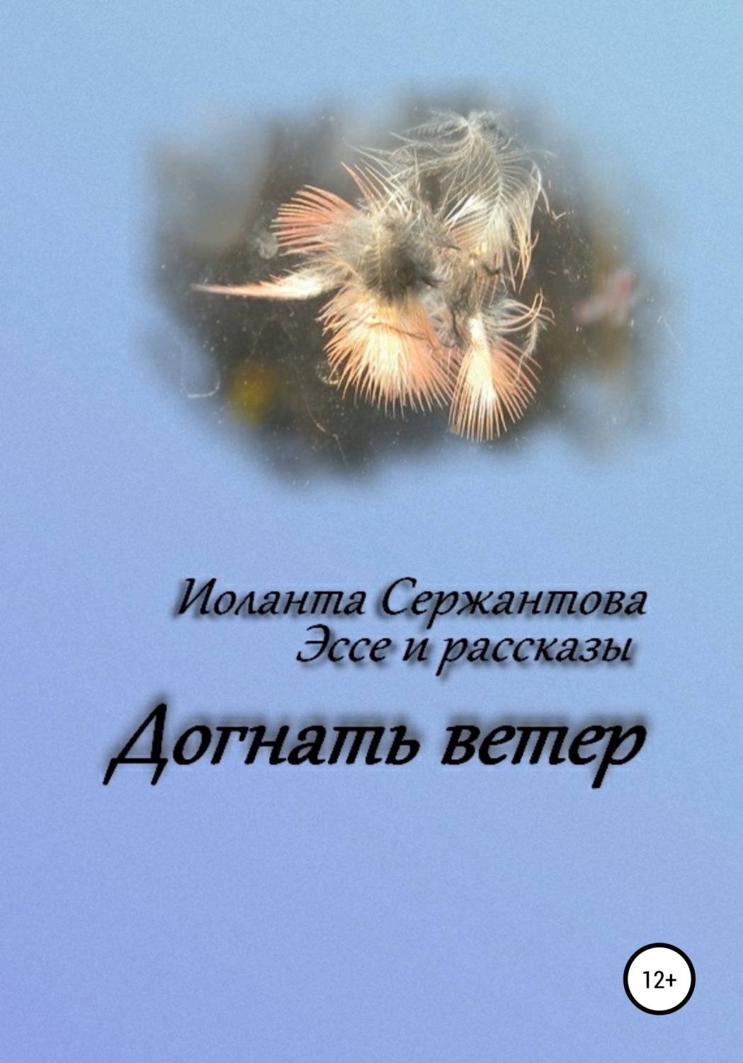 Обложка книги «Догнать ветер»