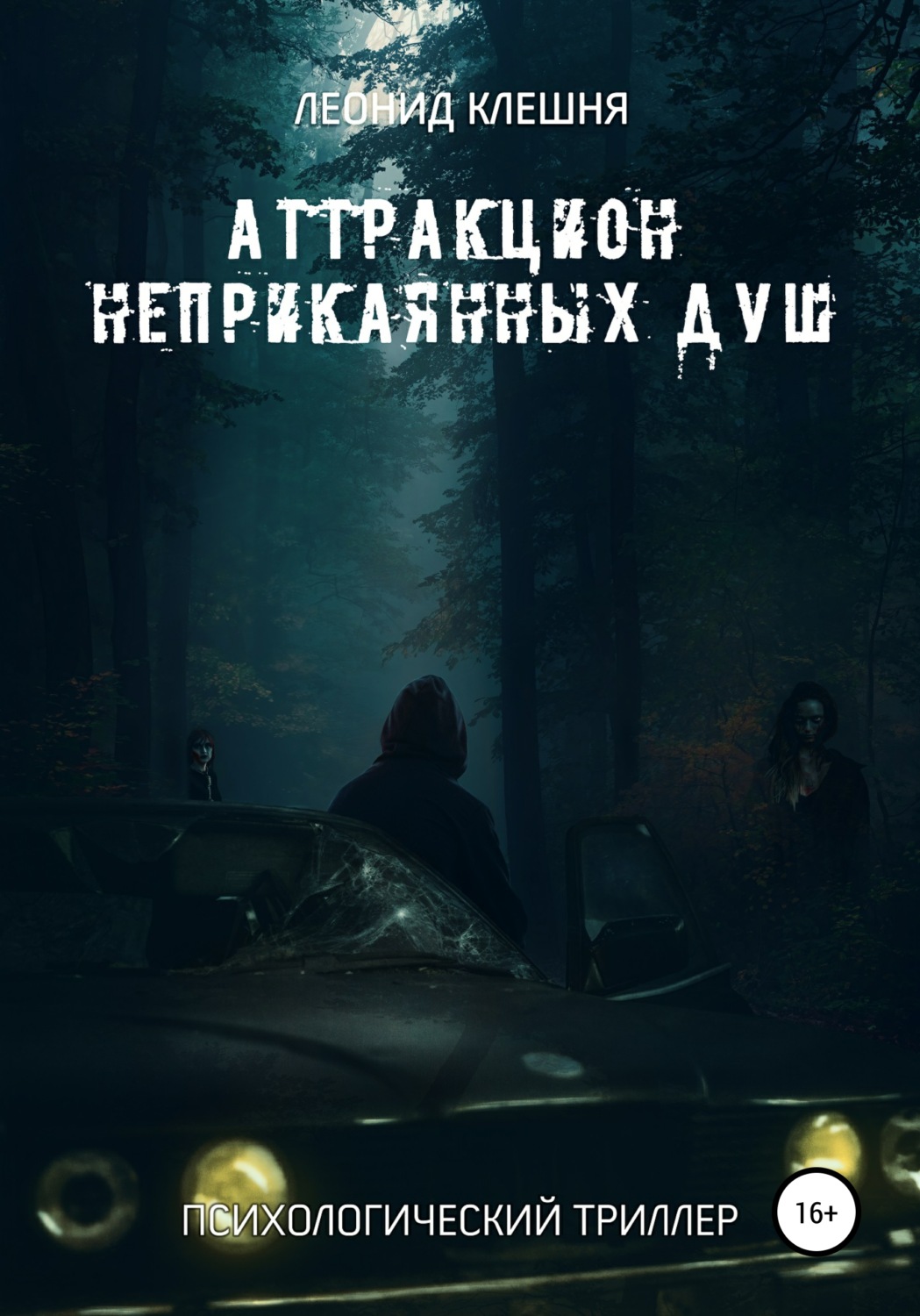 Обложка книги «Аттракцион неприкаянных душ»