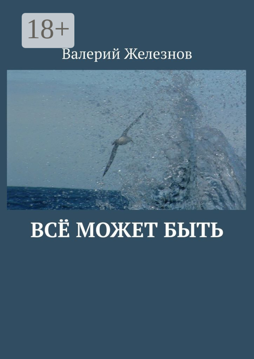 Обложка книги «Всё может быть»