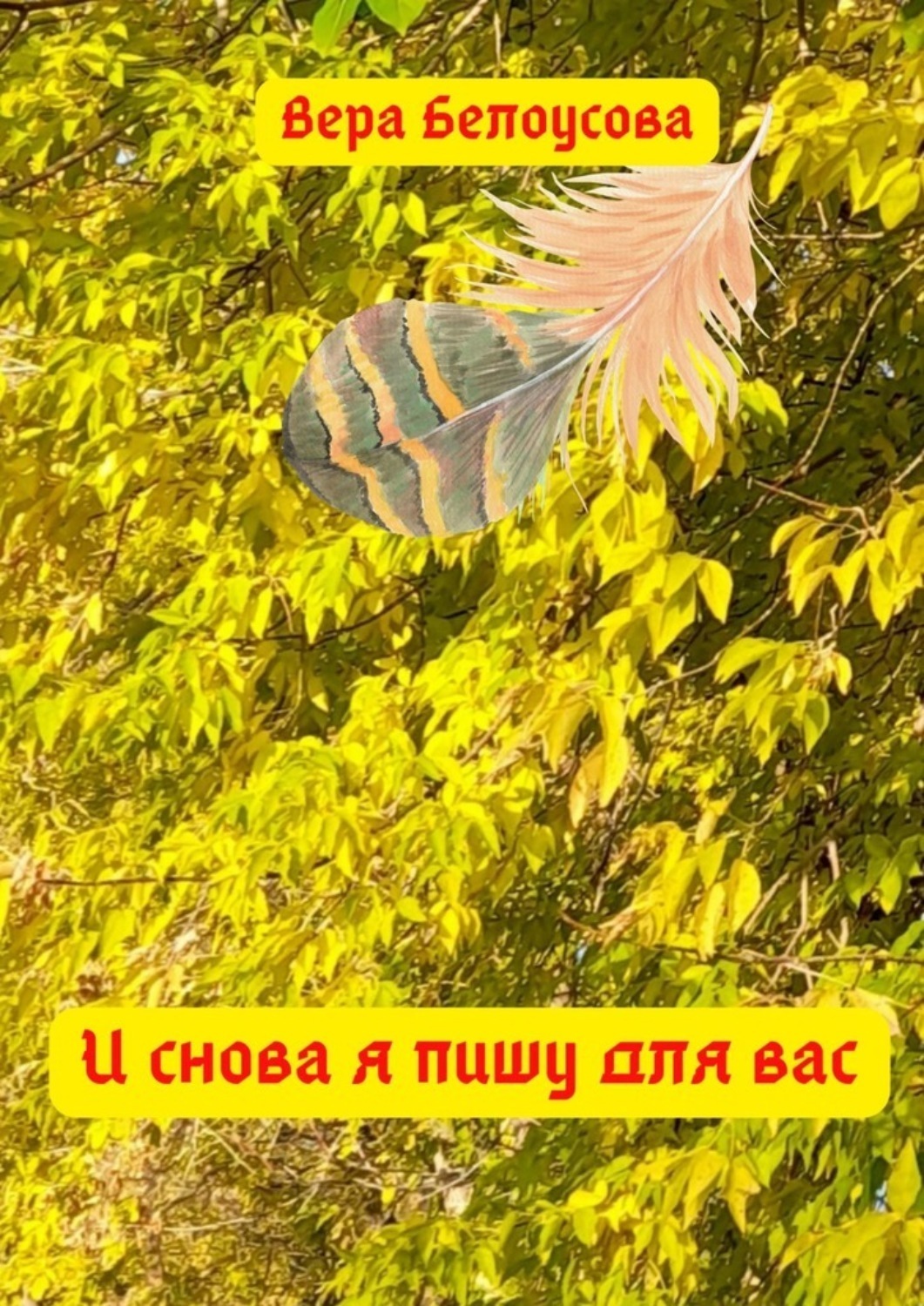 Обложка книги «И снова я пишу для вас»