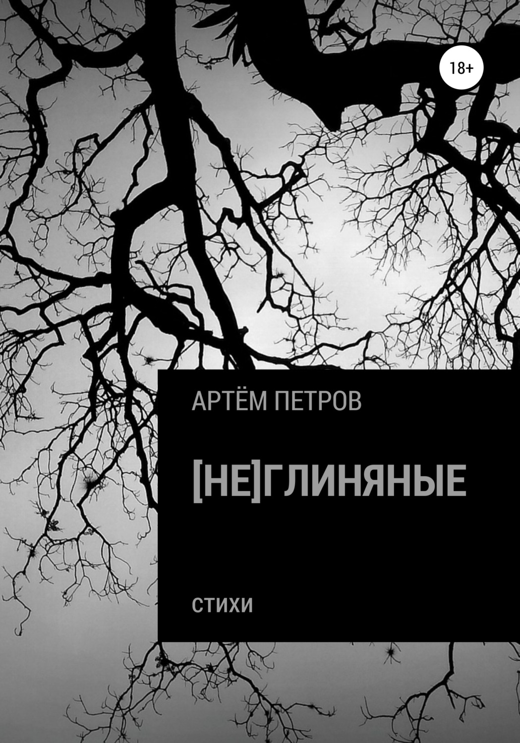 Обложка книги «[Не]глиняные»