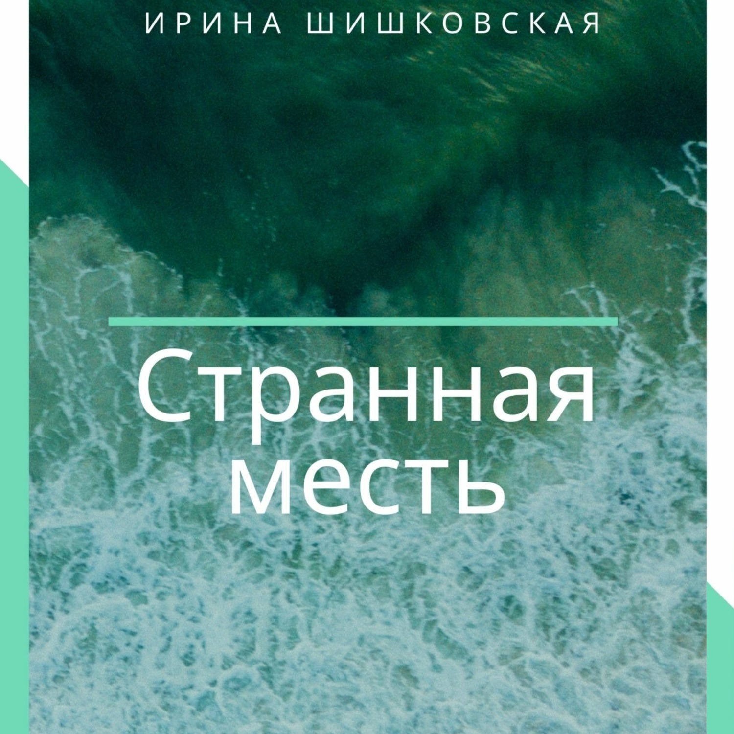 Обложка книги «Странная месть»