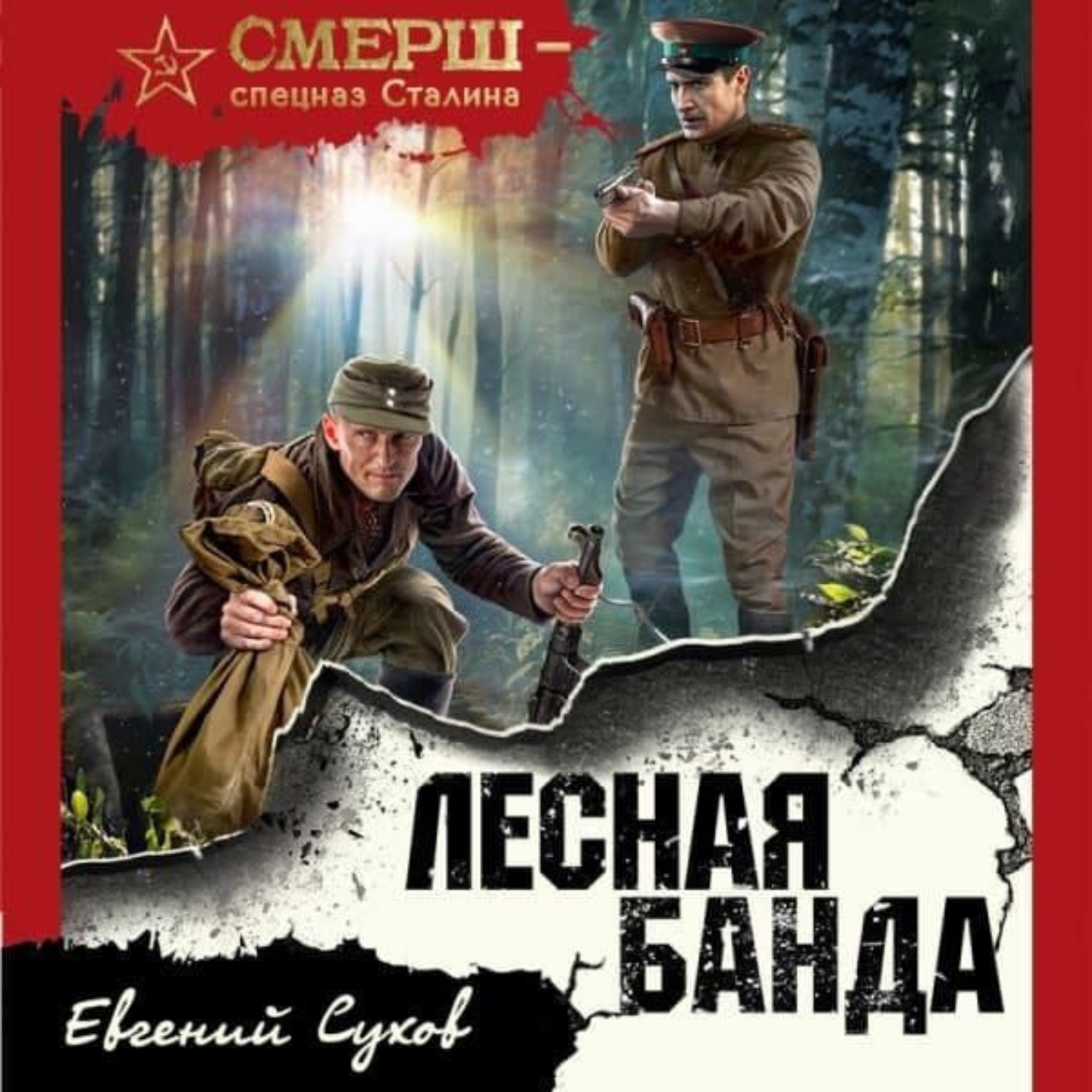 Обложка книги «Лесная банда»
