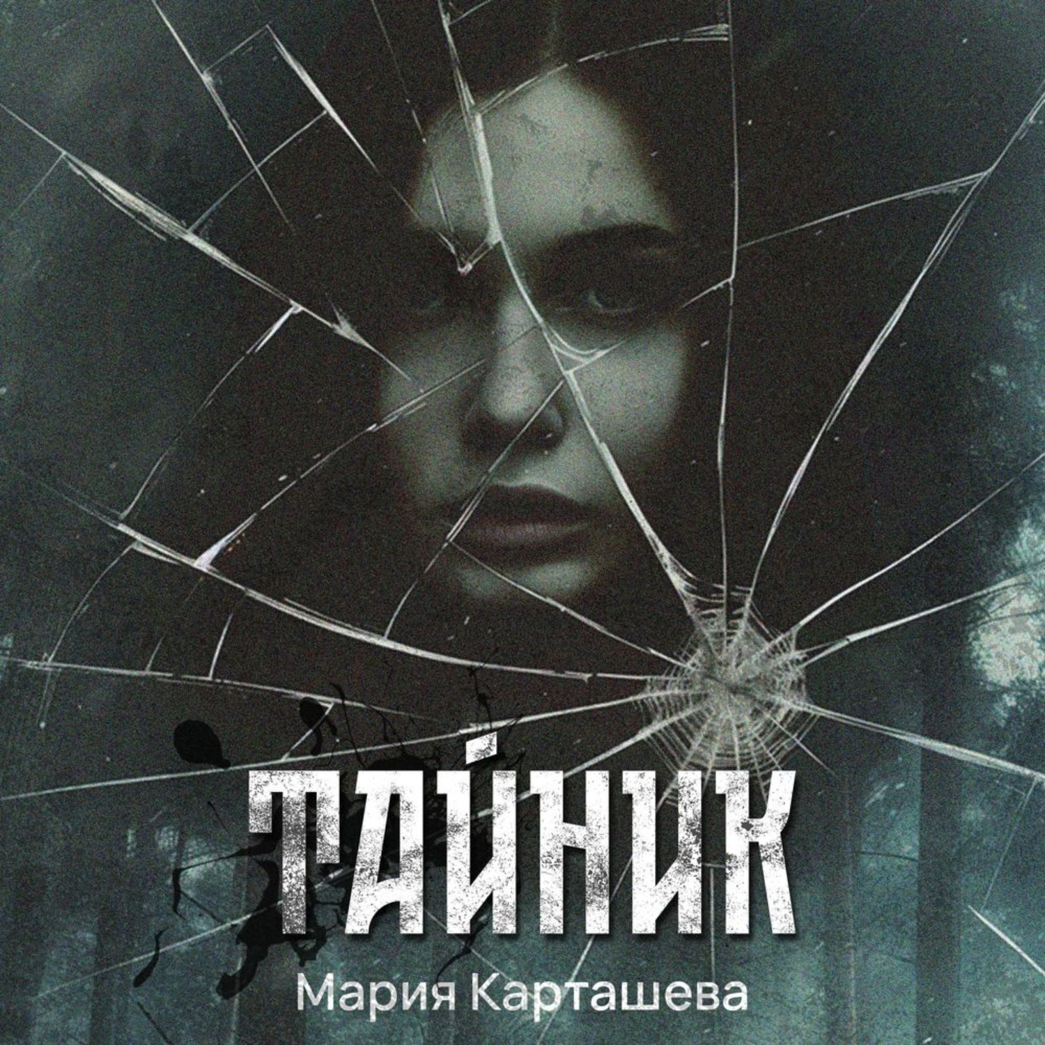 Обложка книги «Тайник»