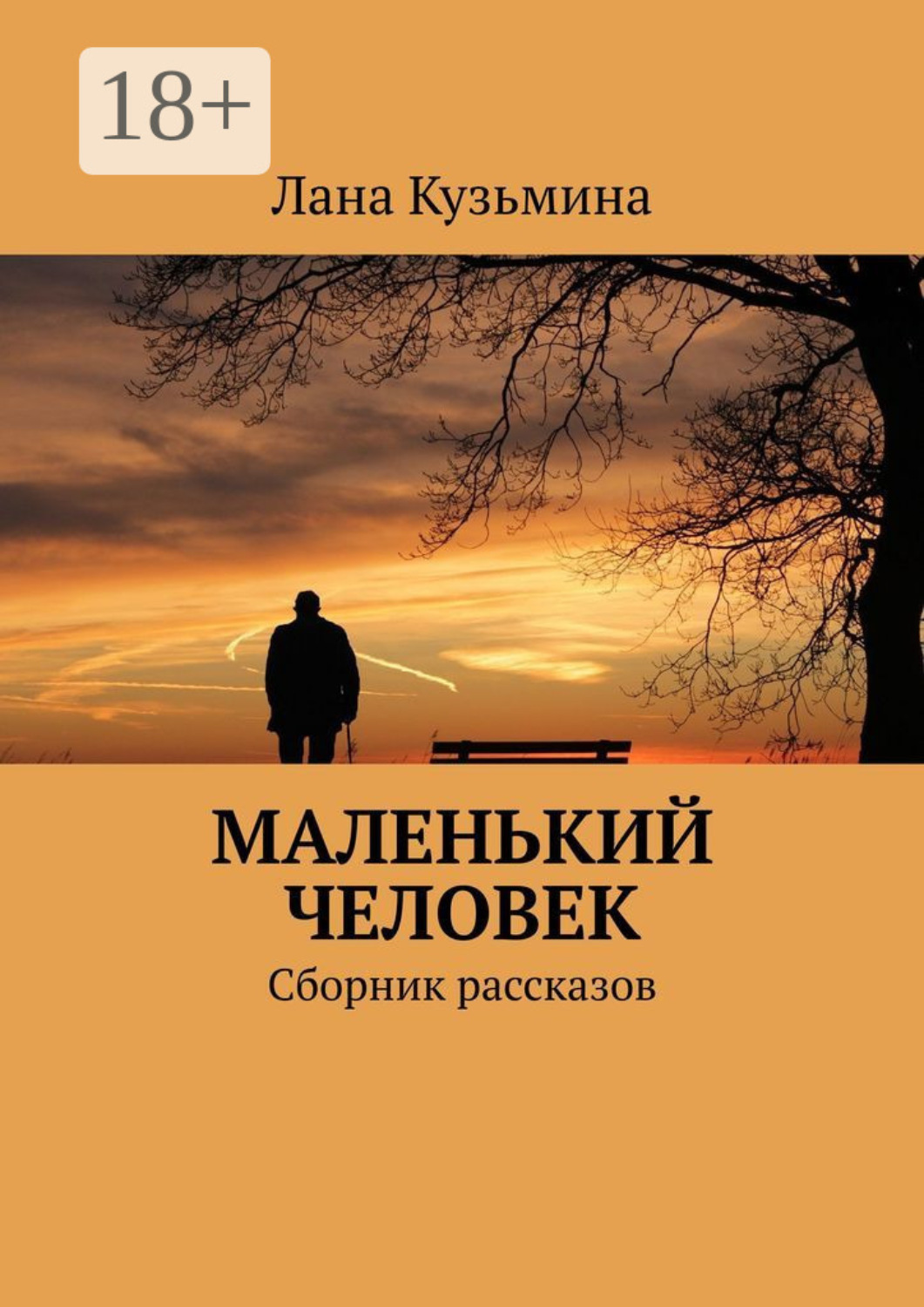 Обложка книги «Маленький человек. Сборник рассказов»