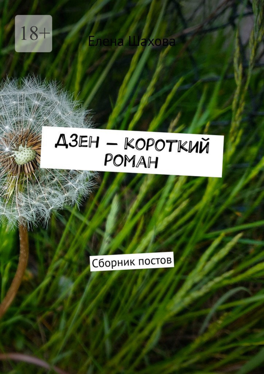 Обложка книги «Дзен – короткий роман. Сборник постов»