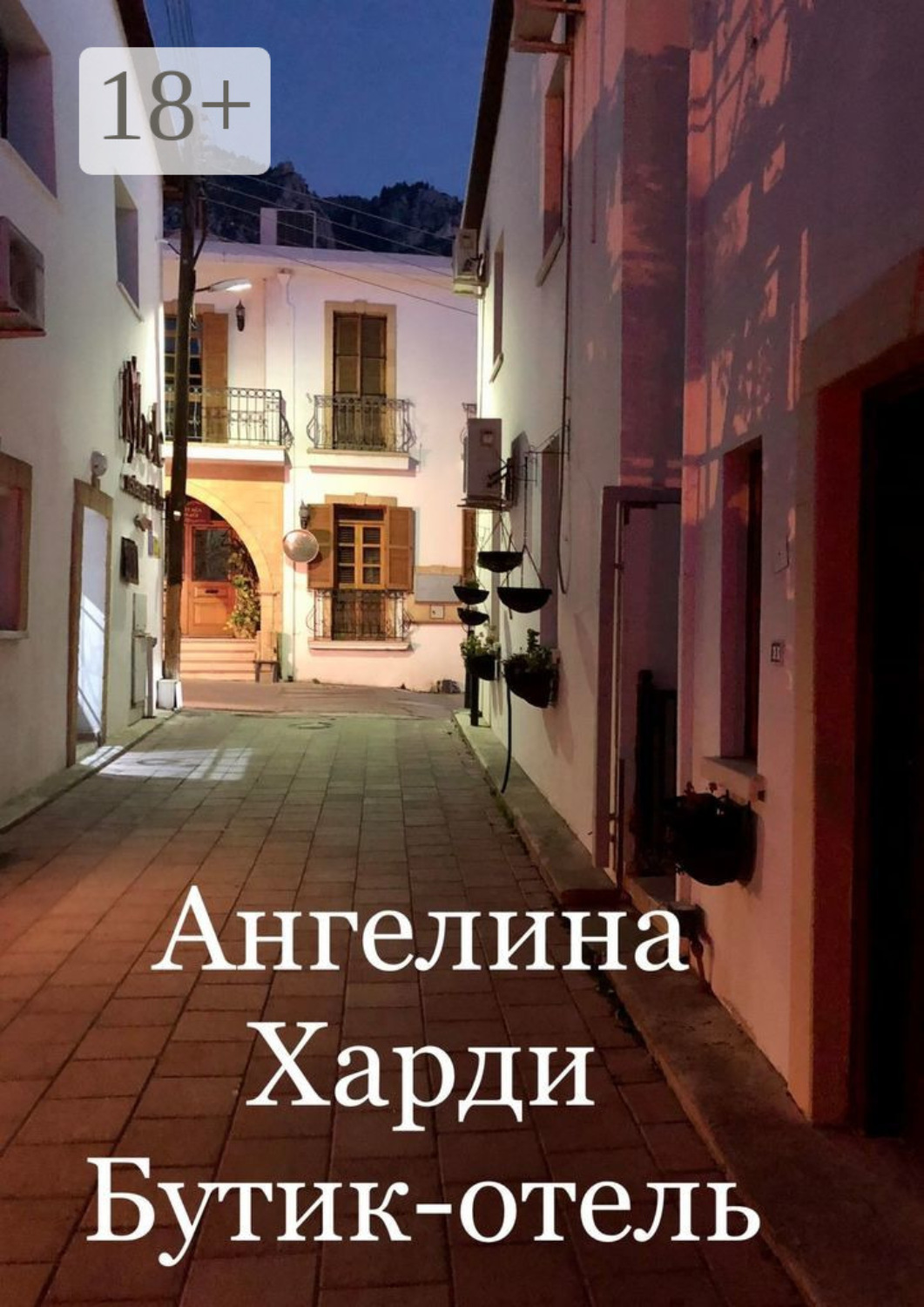 Обложка книги «Бутик-отель»