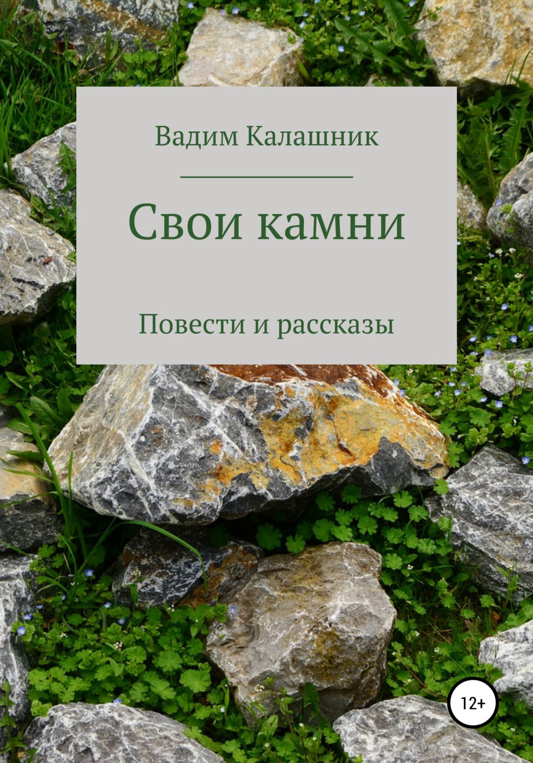 Обложка книги «Свои камни»