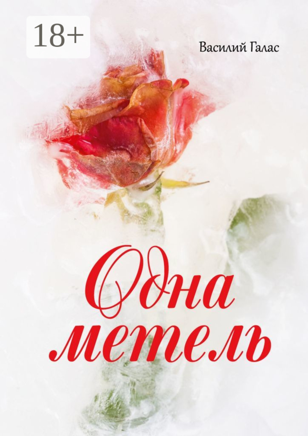 Обложка книги «Одна метель»