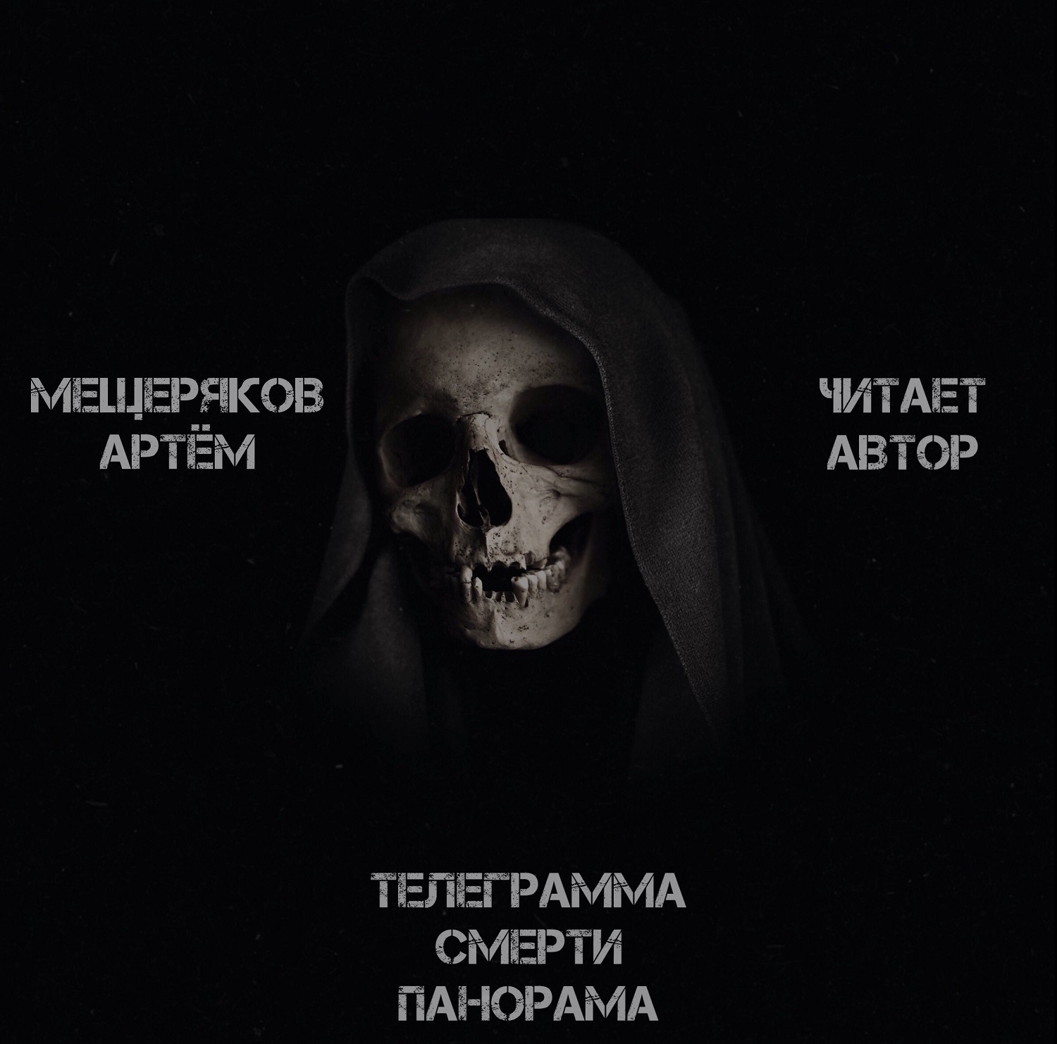 Обложка книги «Телеграмма смерти панорама»