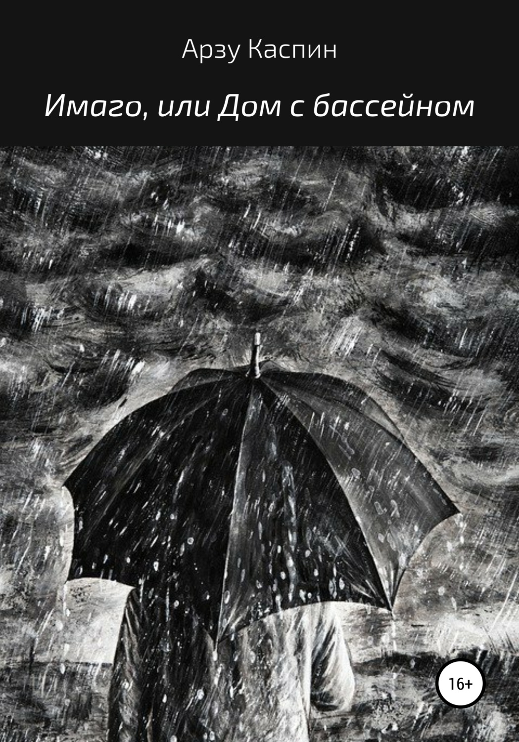 Обложка книги «Имаго, или Дом с бассейном»