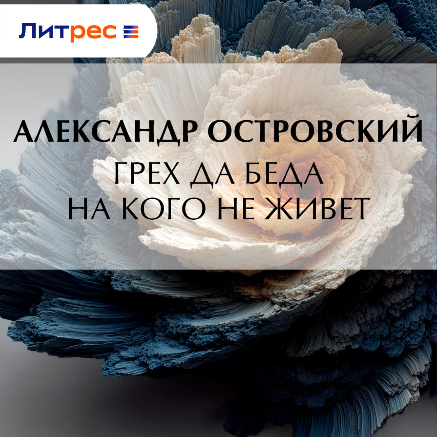 Обложка книги «Грех да беда на кого не живет»