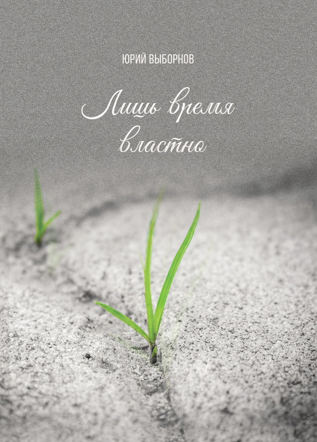 Обложка книги «Лишь время властно»