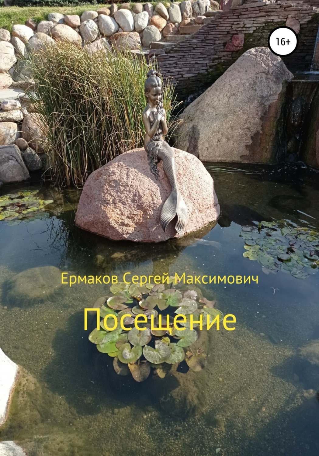 Обложка книги «Посещение»
