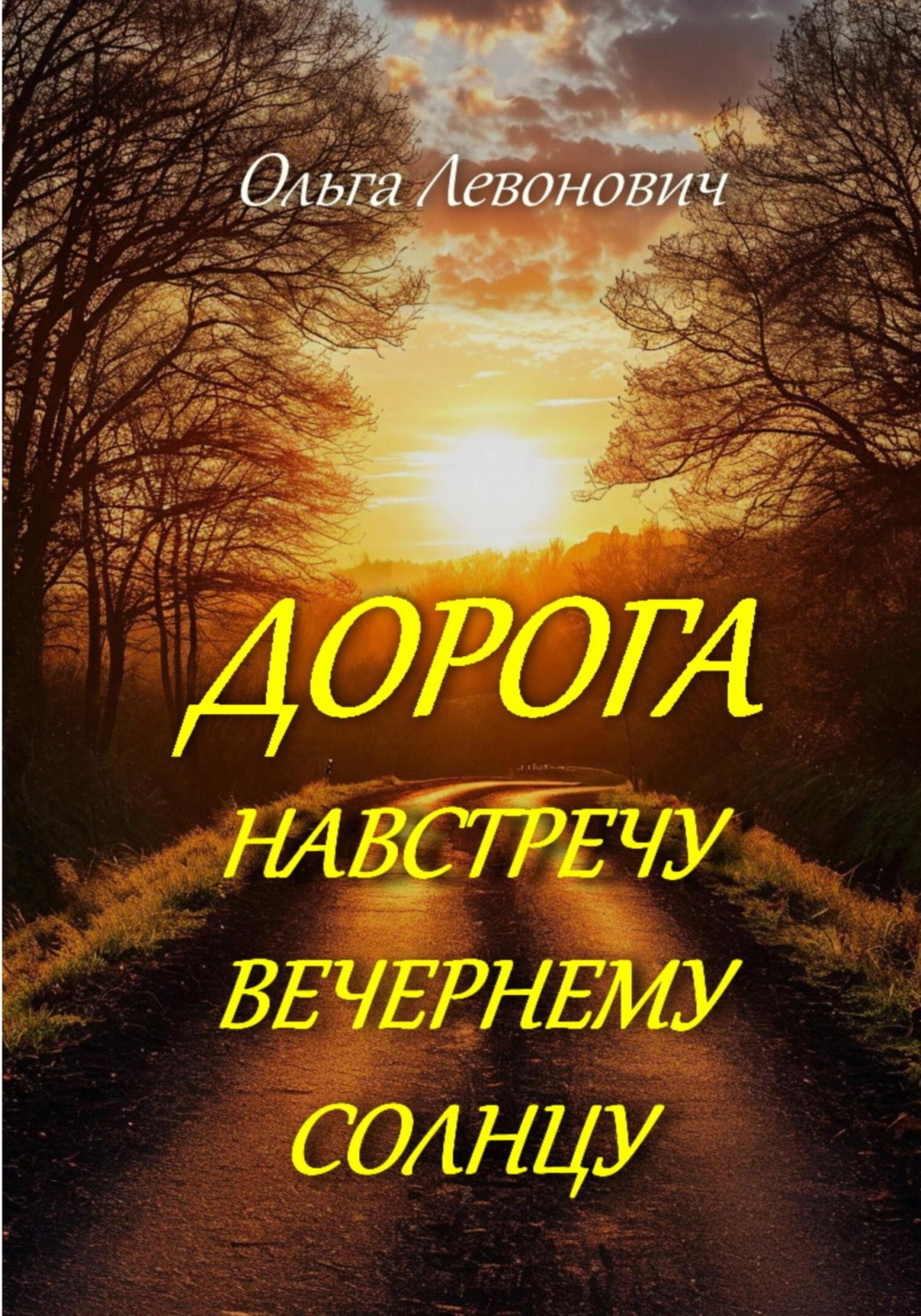 Обложка книги «Дорога навстречу вечернему солнцу»