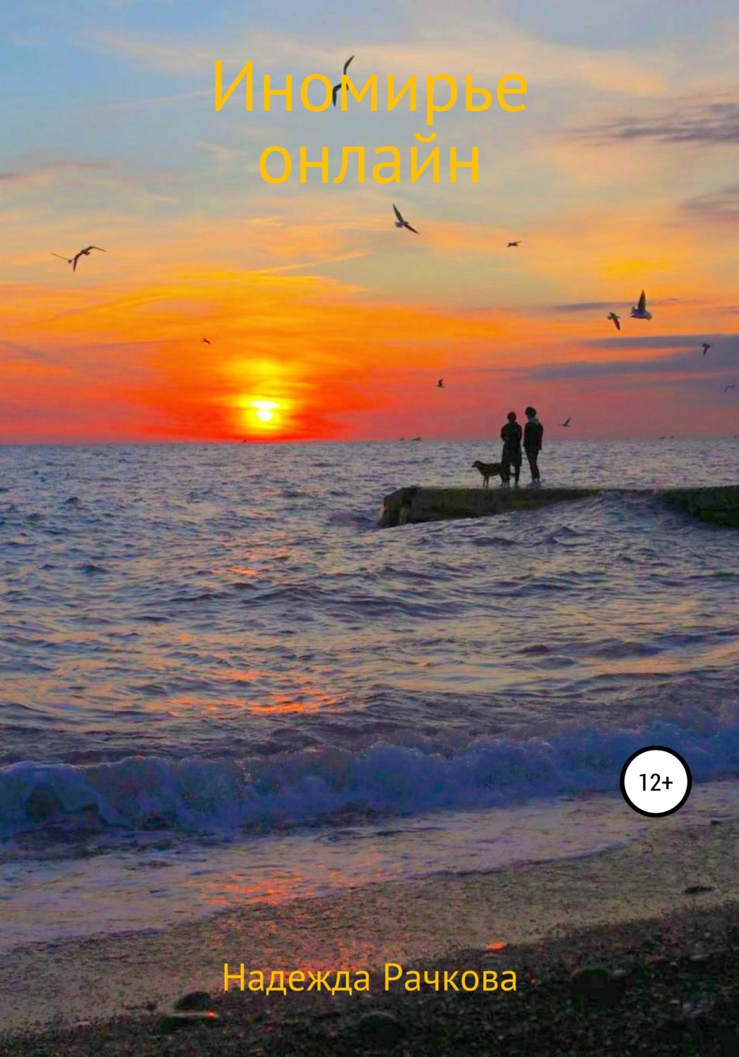 Обложка книги «Иномирье онлайн»