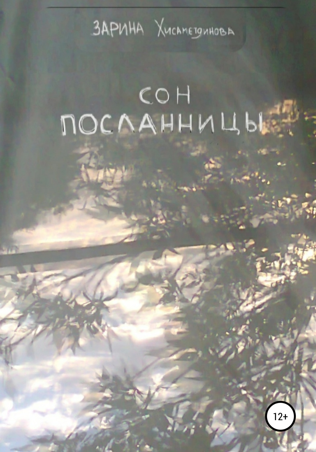 Обложка книги «Сон посланницы»