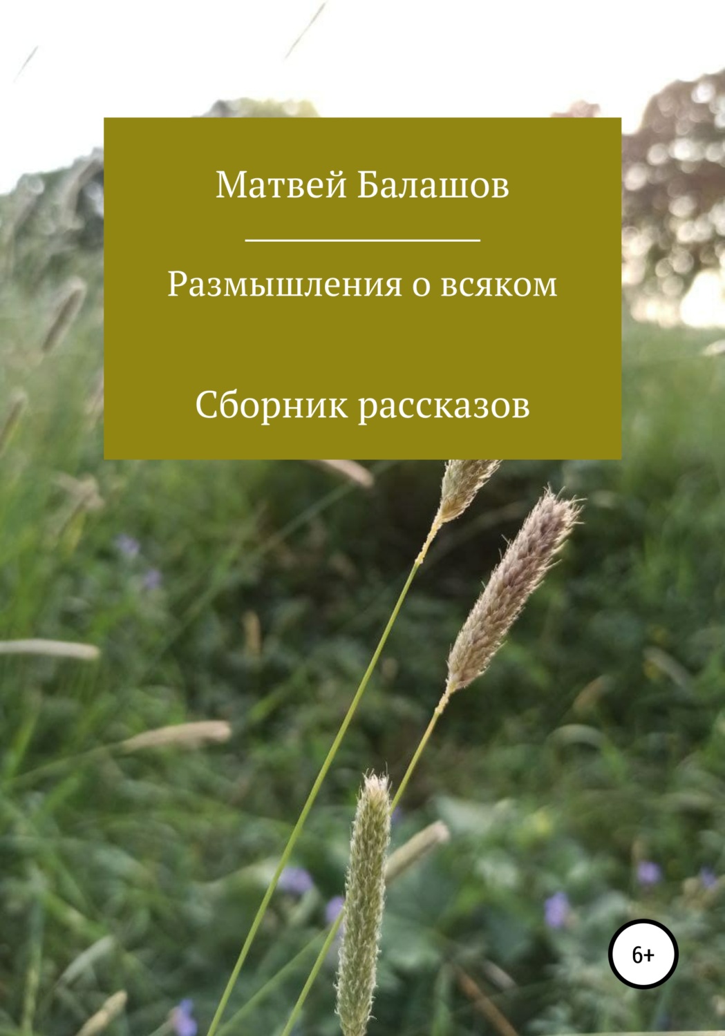 Обложка книги «Размышления о всяком»