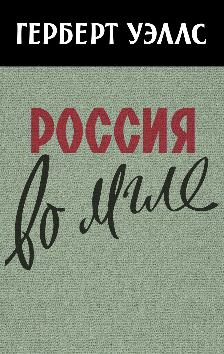 Обложка книги «Россия во мгле»