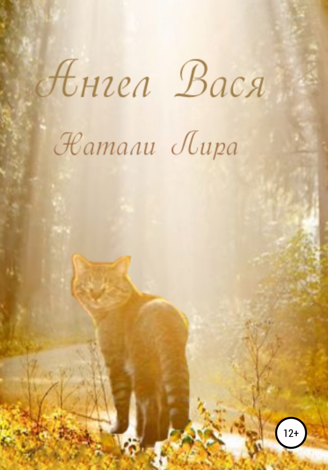 Обложка книги «Ангел Вася»