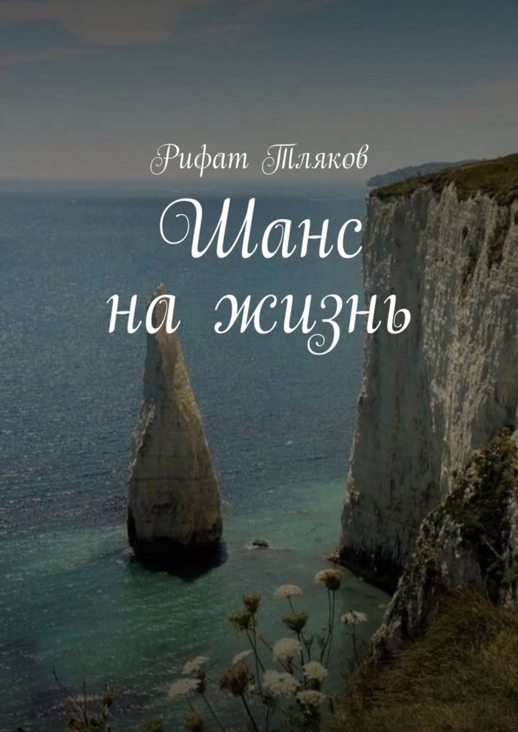 Обложка книги «Шанс на жизнь»