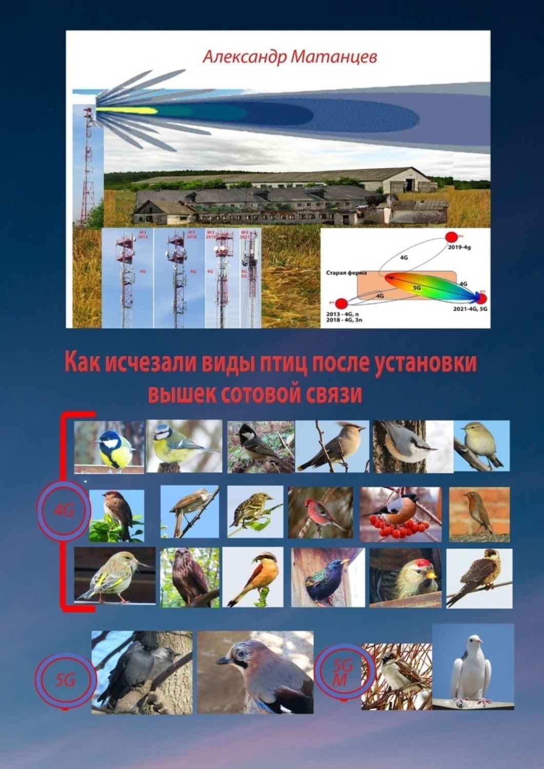 Обложка книги «Как исчезали виды птиц после установки вышек сотовой связи»