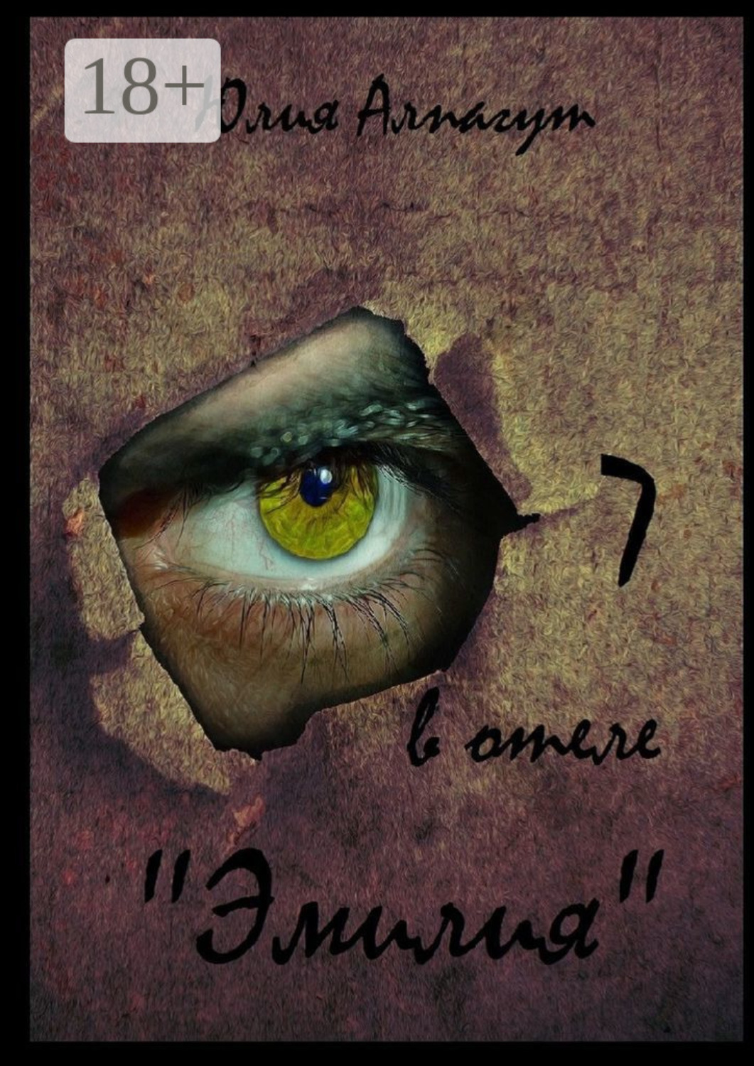 Обложка книги «7 в отеле «Эмилия»»