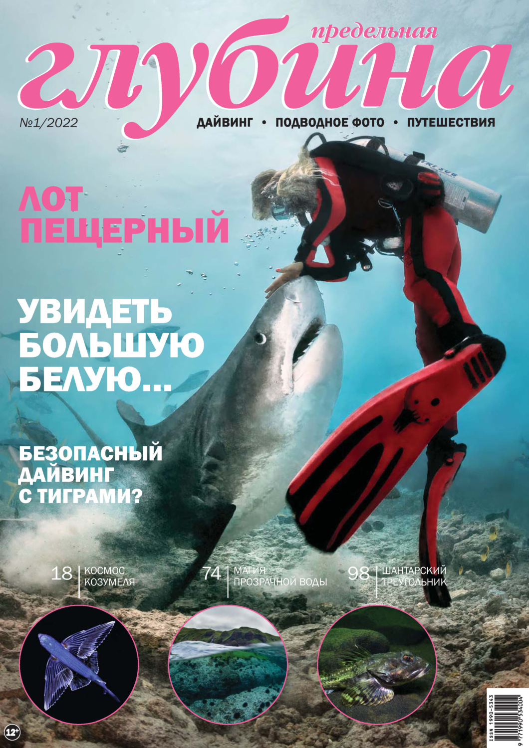 Обложка книги «Предельная Глубина №1/2022»