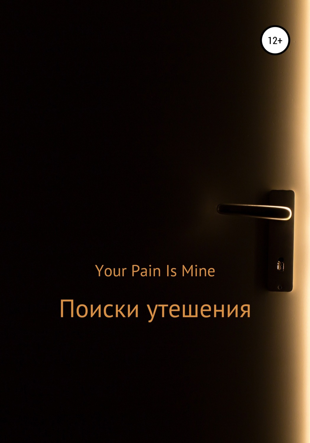 Обложка книги «Поиски утешения»