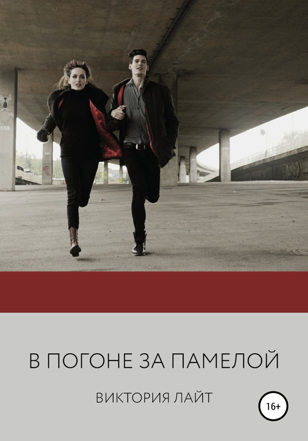 Обложка книги «В погоне за Памелой»
