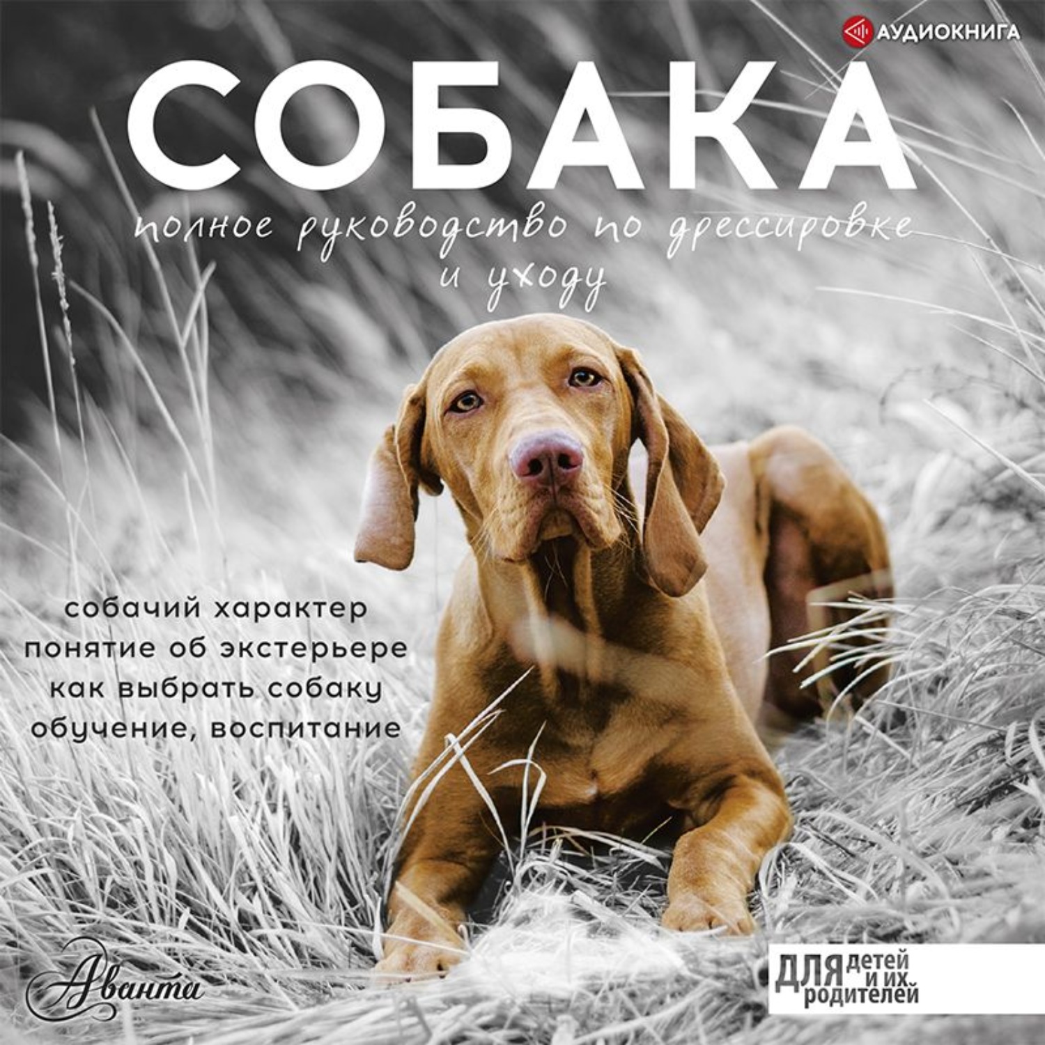 Обложка книги «Собака. Полное руководство по дрессировке и уходу»