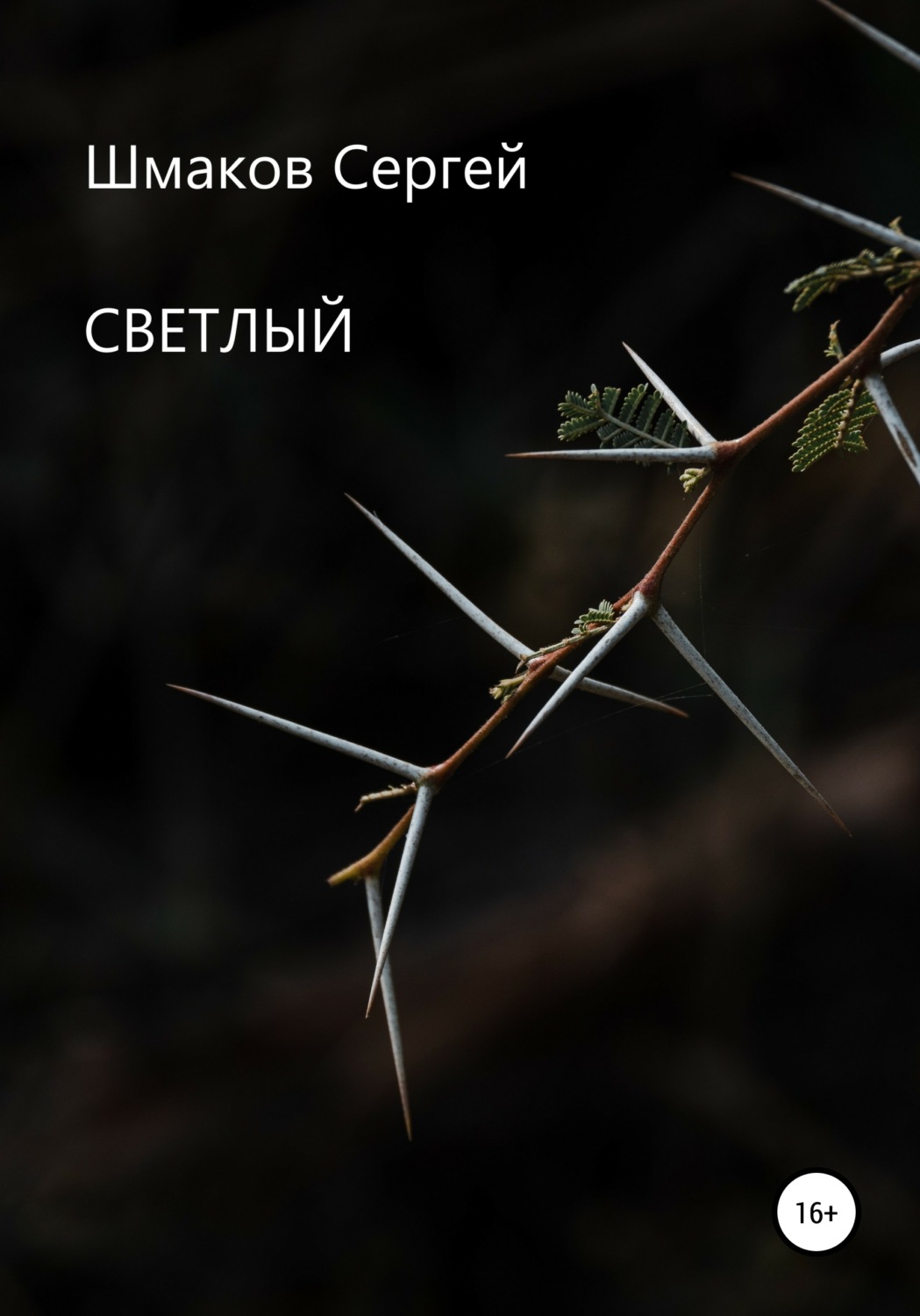 Обложка книги «Светлый»