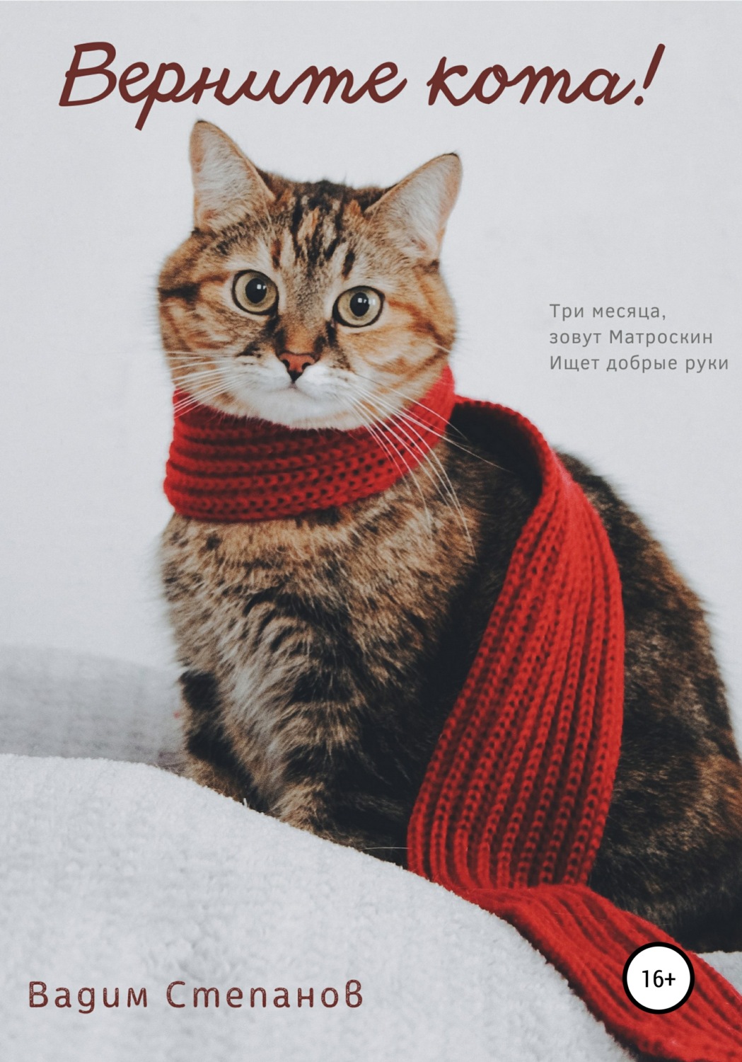 Обложка книги «Верните кота»