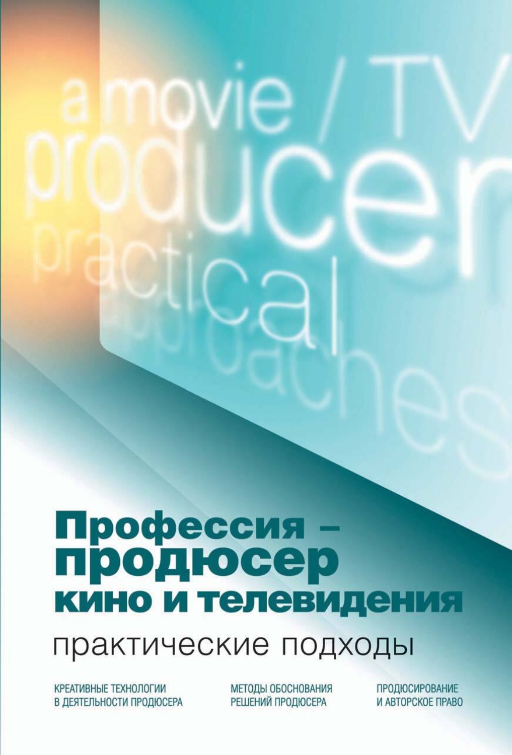 Обложка книги «Профессия – продюсер кино и телевидения. Практические подходы»
