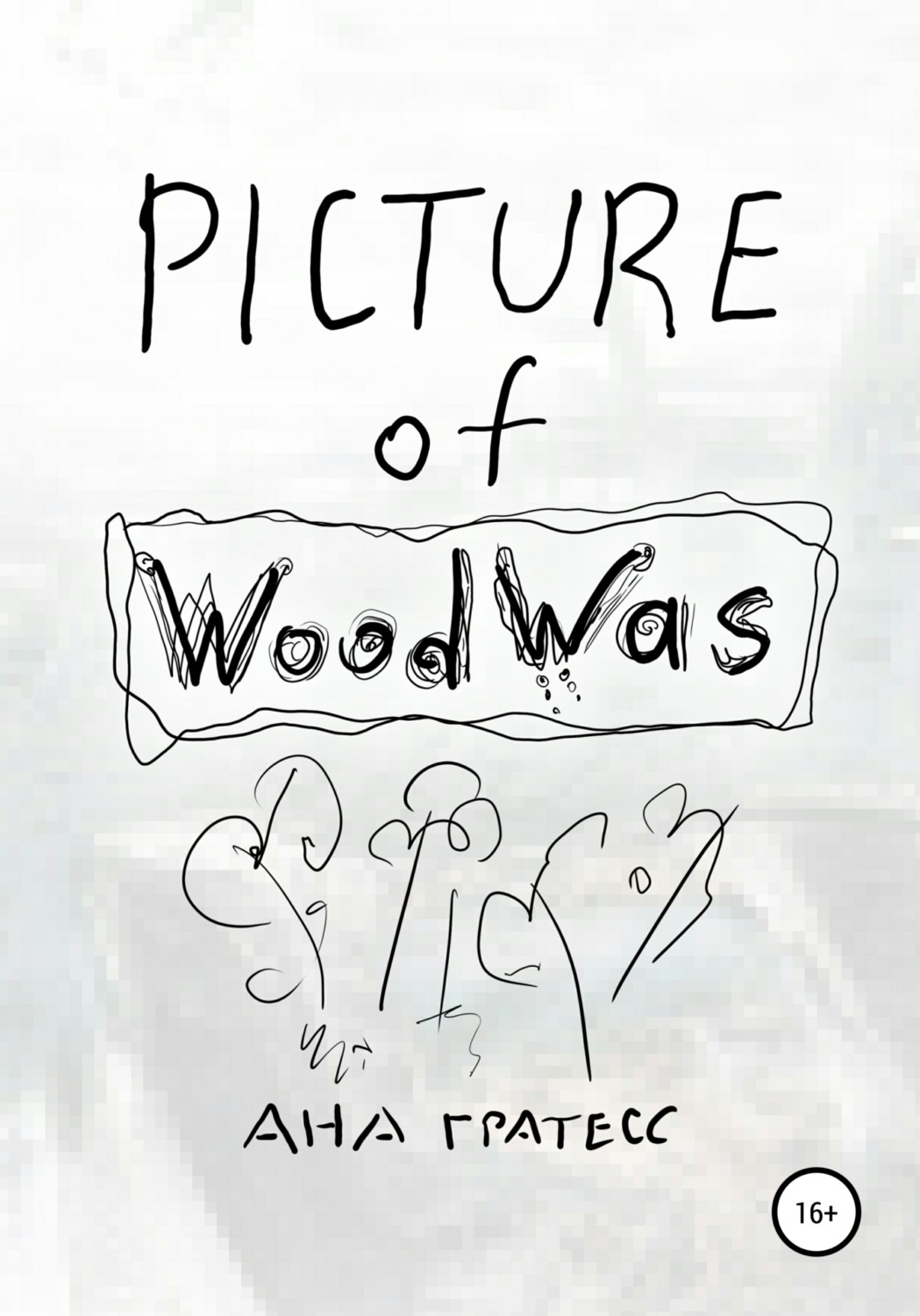Обложка книги «Picture of WoodWas»