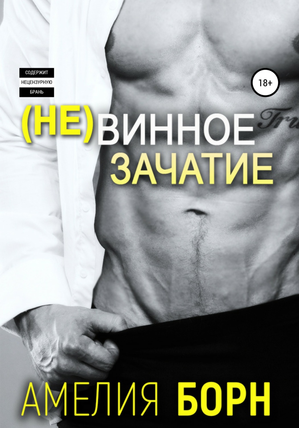 Обложка книги «Невинное зачатие»