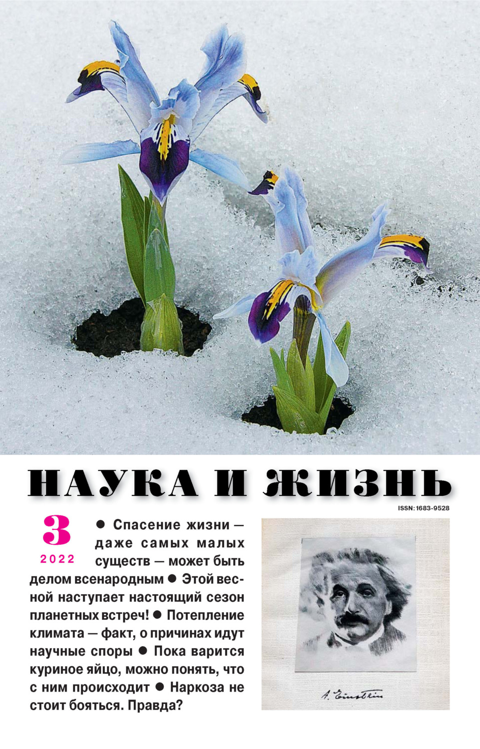 Обложка книги «Наука и жизнь №03/2022»