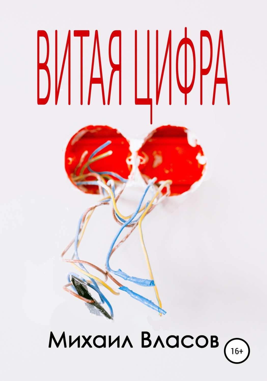 Обложка книги «Витая цифра»