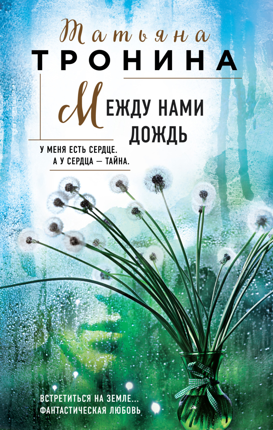 Обложка книги «Между нами дождь»