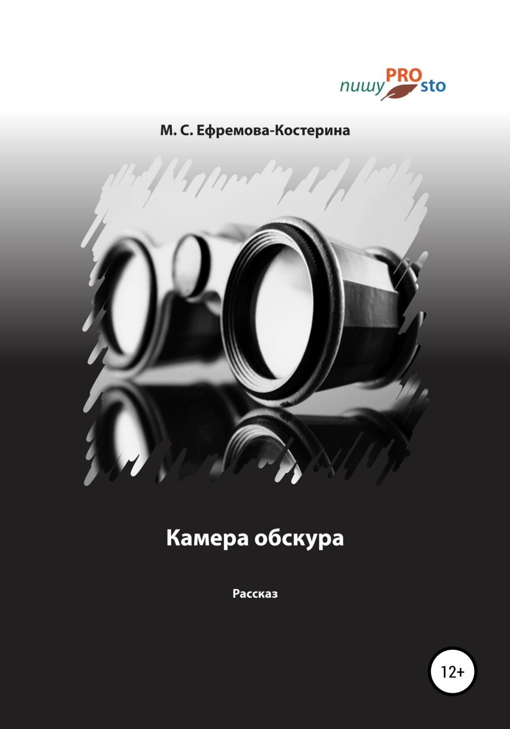 Обложка книги «Камера обскура»