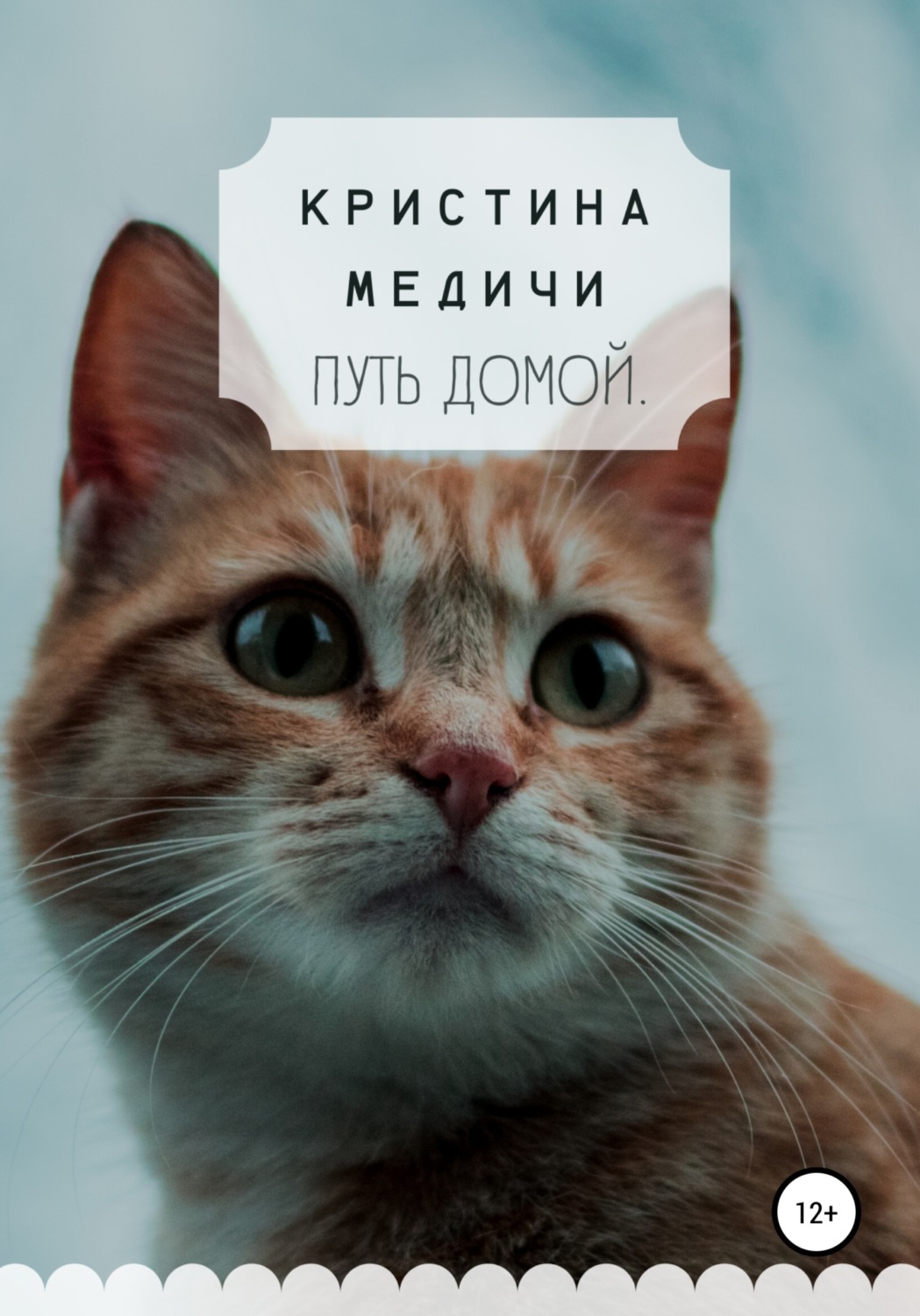 Обложка книги «Путь домой»