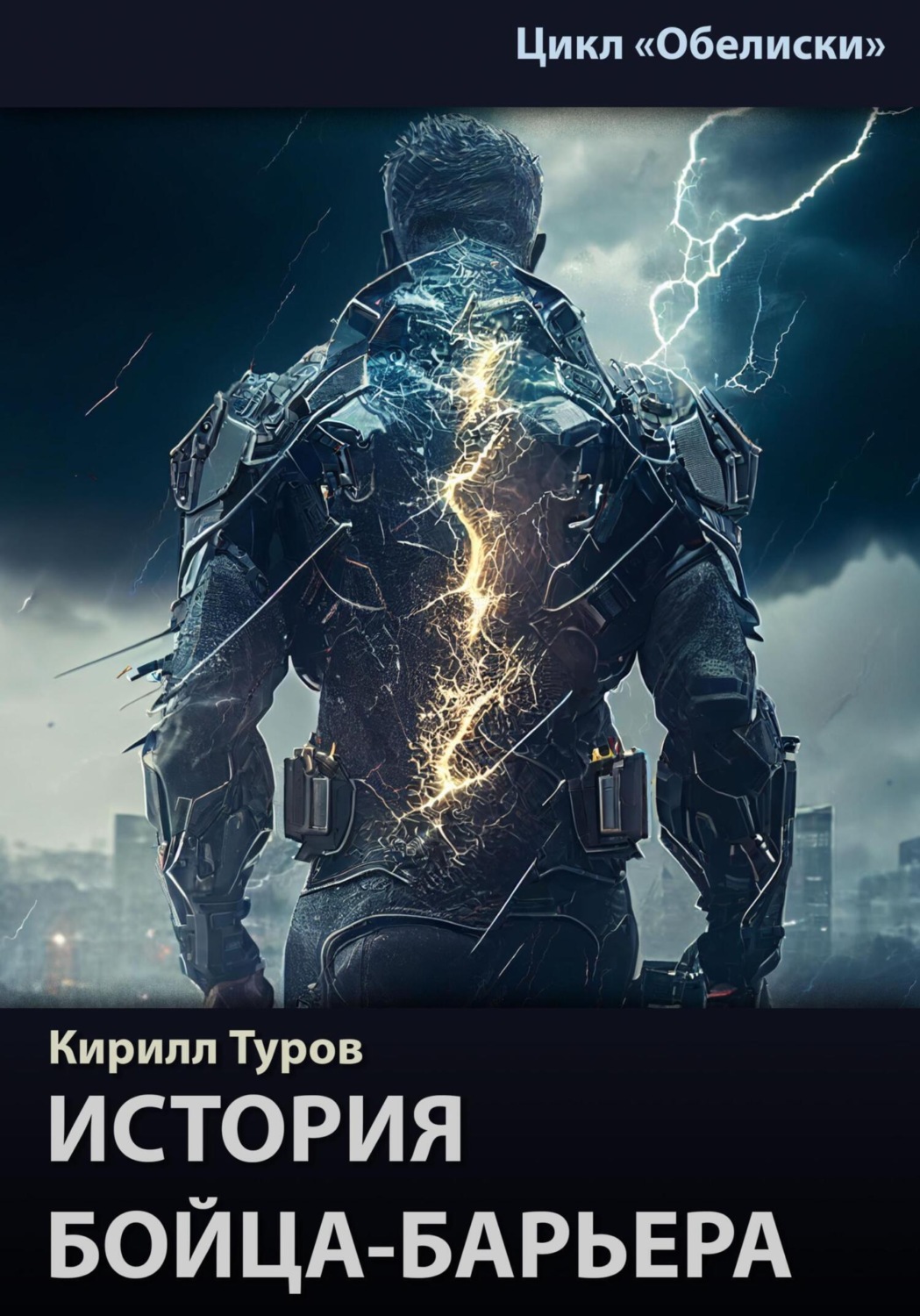 Обложка книги «История бойца-барьера»
