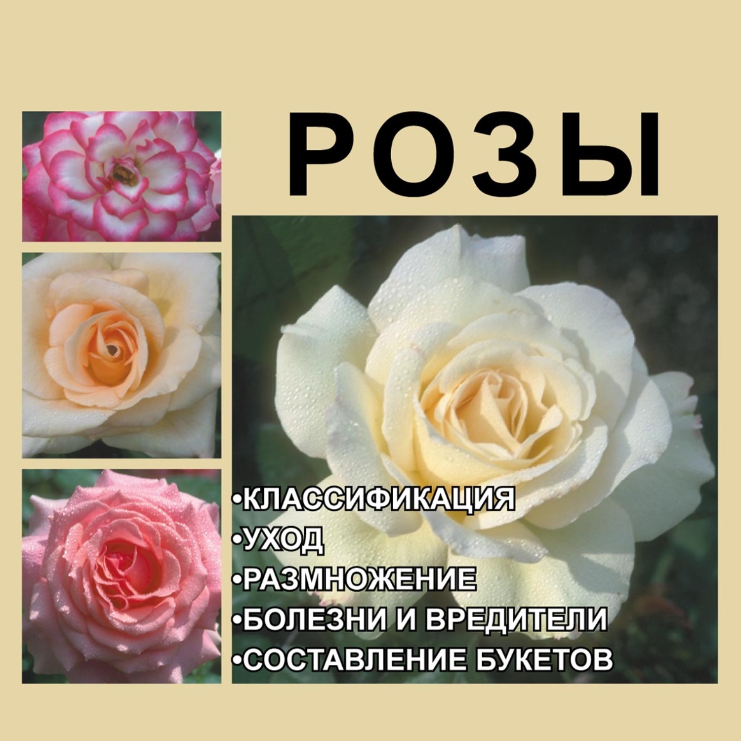Обложка книги «Розы»