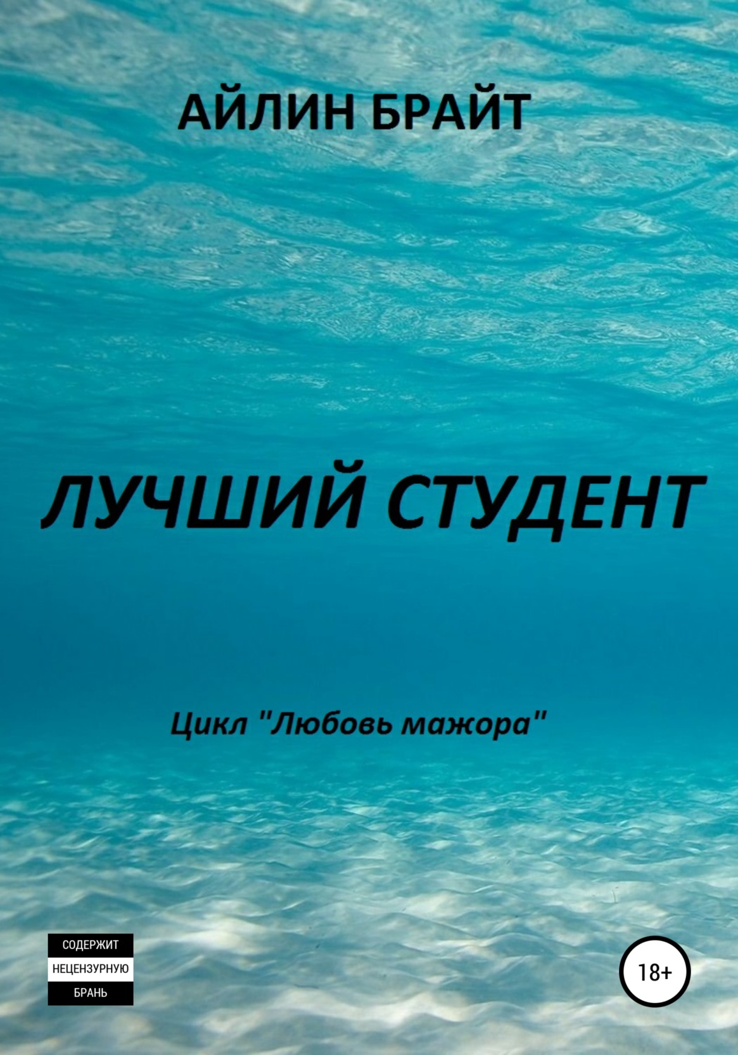 Обложка книги «Лучший студент»