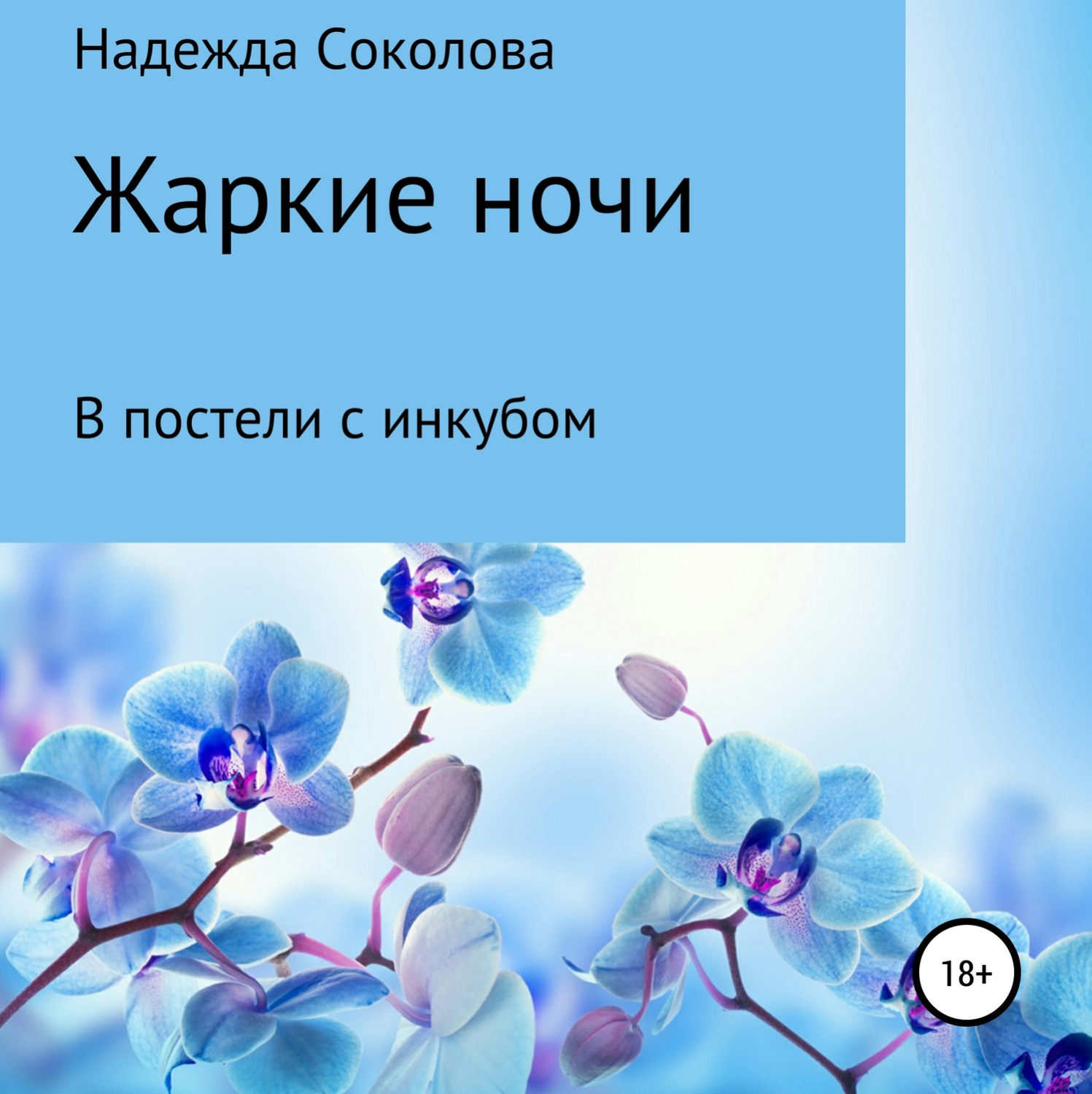 Обложка книги «Жаркие ночи. В постели с инкубом»
