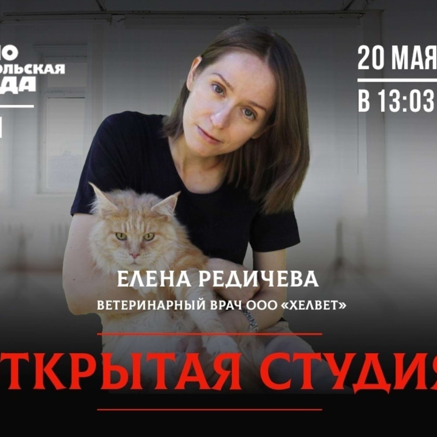 Обложка книги «В отпуск с питомцем: что нужно учесть»